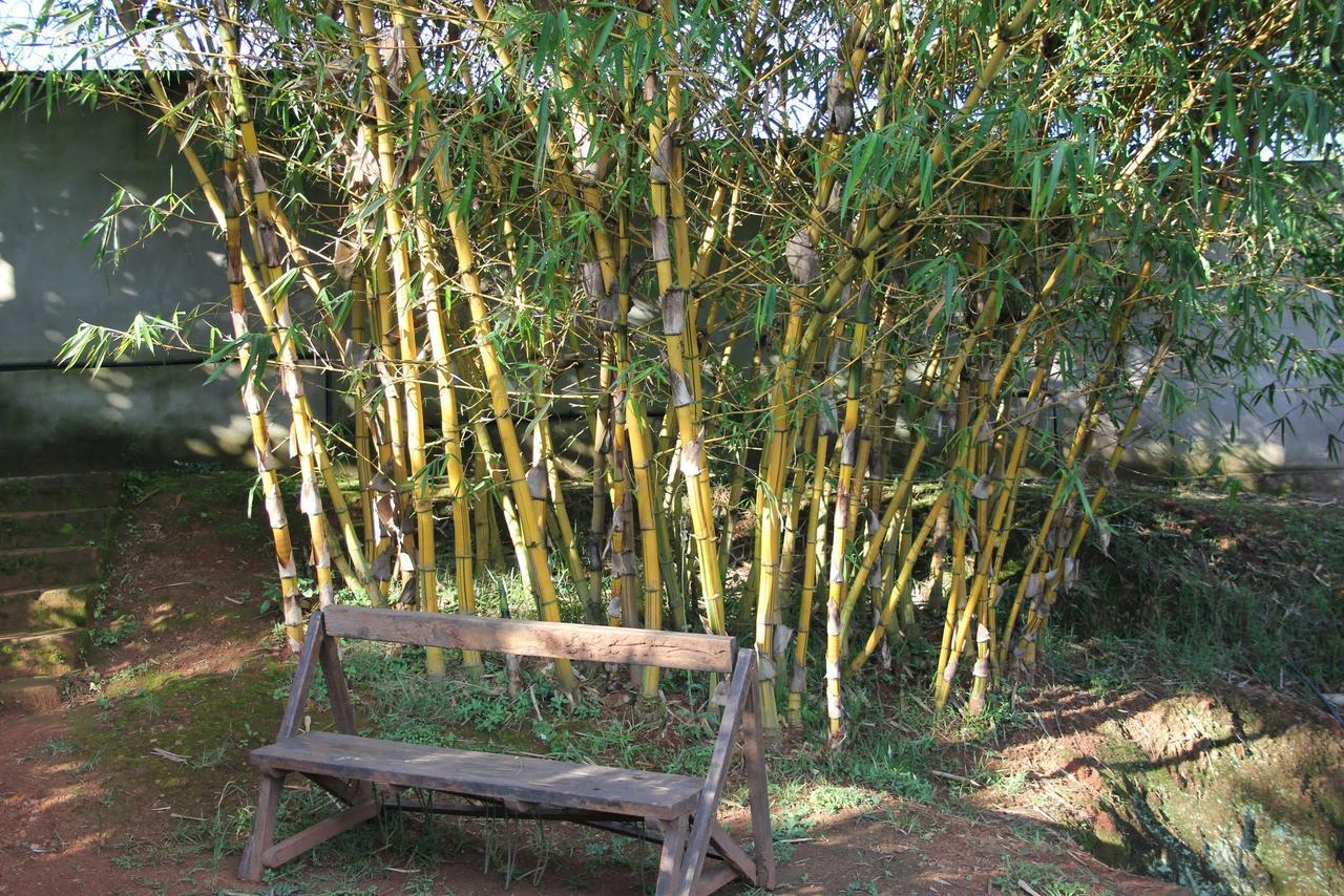 Banda Lodge Masaka Екстер'єр фото